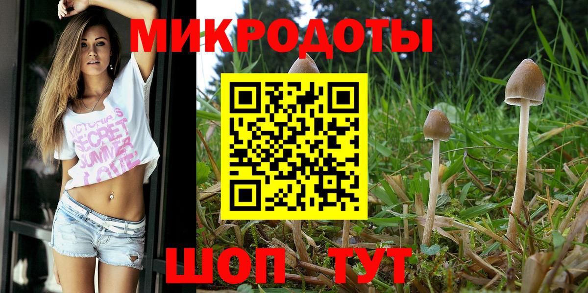 Псилоцибиновые грибы Барабинск