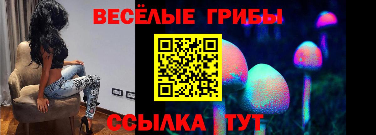 Псилоцибиновые грибы Psilocybine cubensis Барабинск